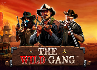 vswayswildgang.png