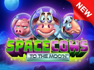 BG Space Cows To The Moo'n