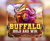 BG Buffalo Hold And Win